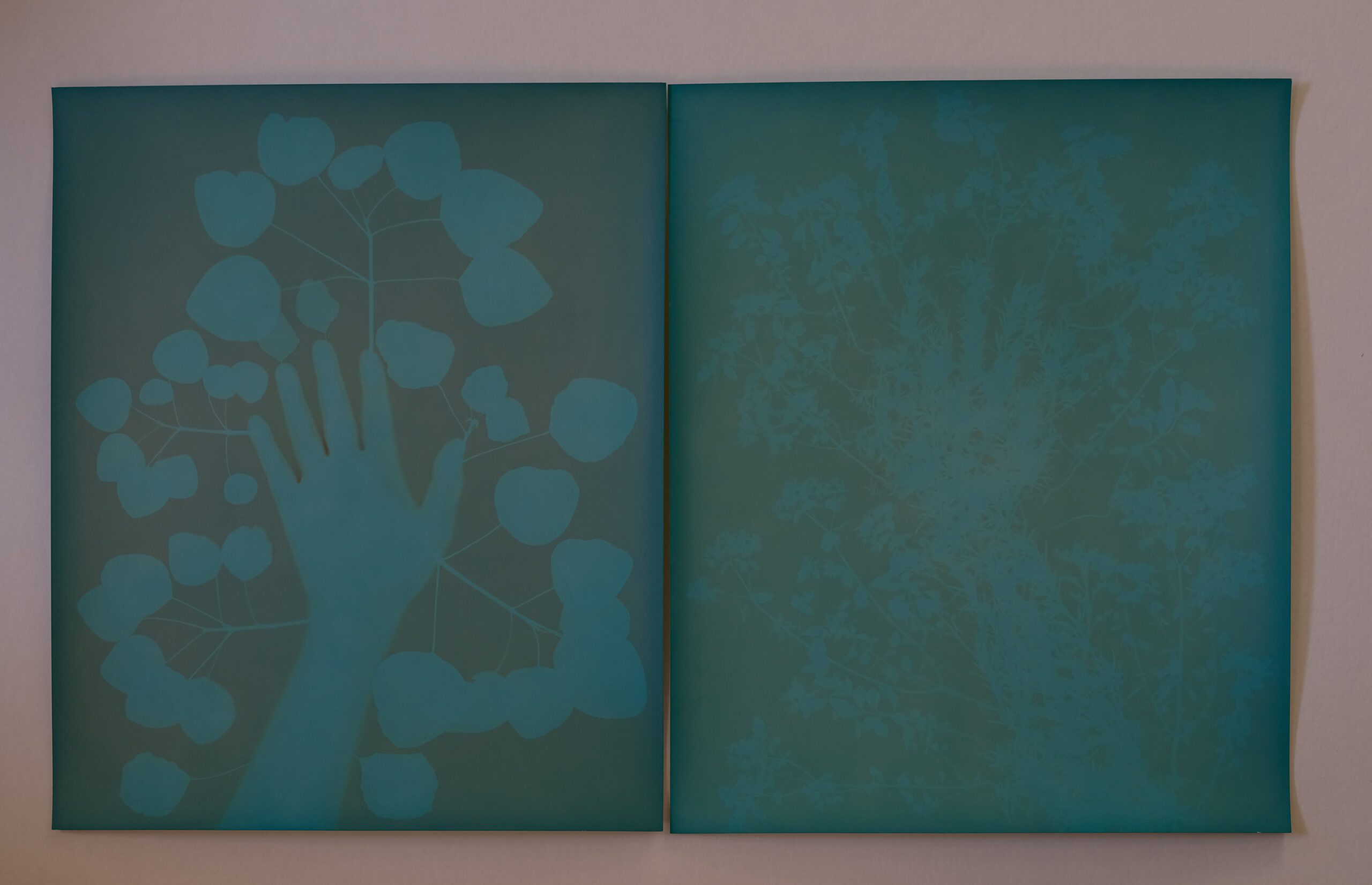 Han Nguyen, “Tracing Shadows” (2023), unique photogram, 60 x 50 cm. Courtesy of the artist.