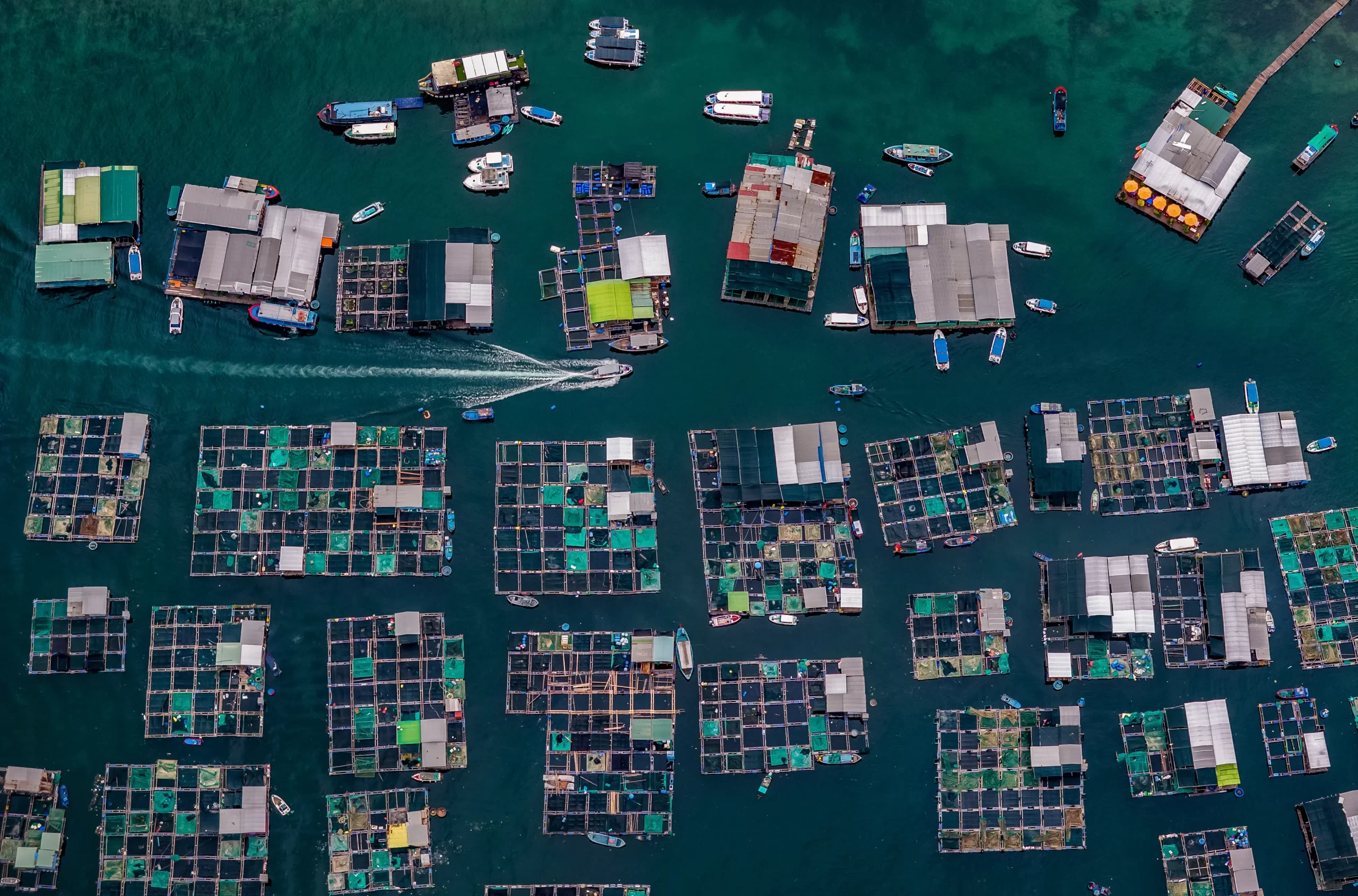 A Journey of Four Bays