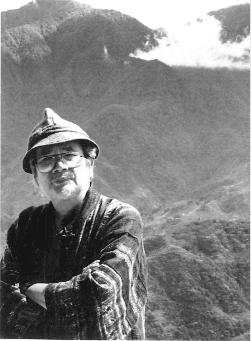 Trần Lưu Hậu: A Pioneering Force in Post-Đổi Mới Abstraction